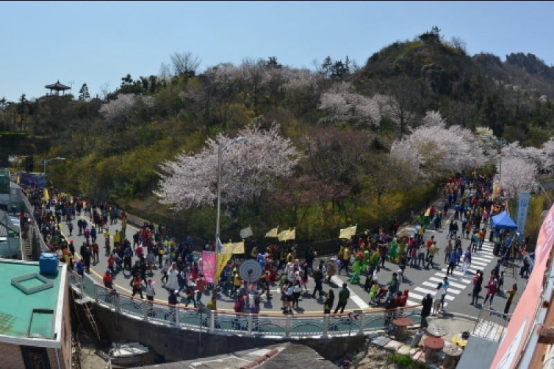 Mokpo Yudalsan Mountain Flower Festival  (2/9)