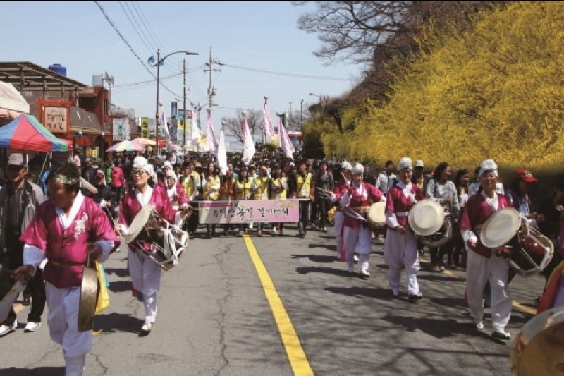Mokpo Yudalsan Mountain Flower Festival  (3/9)