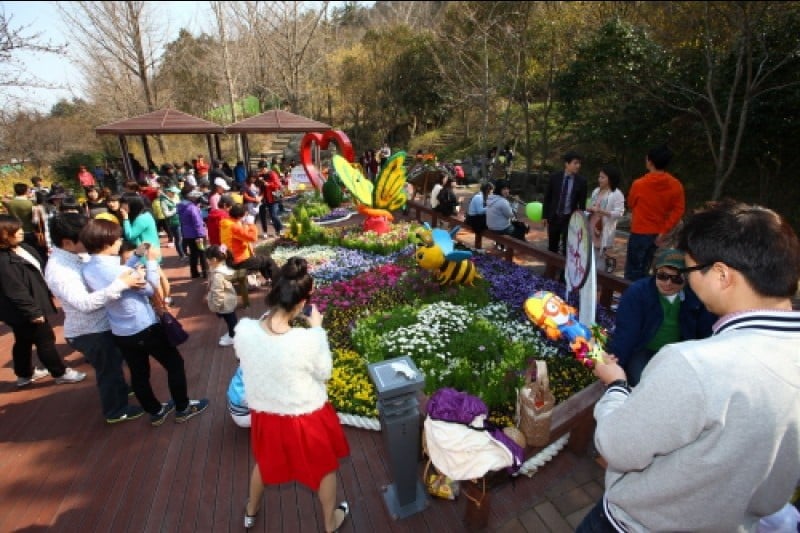 Mokpo Yudalsan Mountain Flower Festival  (4/9)