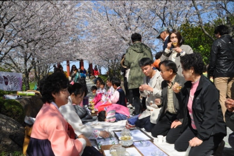 Mokpo Yudalsan Mountain Flower Festival  (6/9)