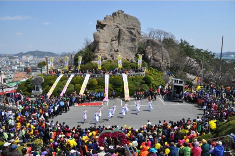 Mokpo Yudalsan Mountain Flower Festival  (7/9)