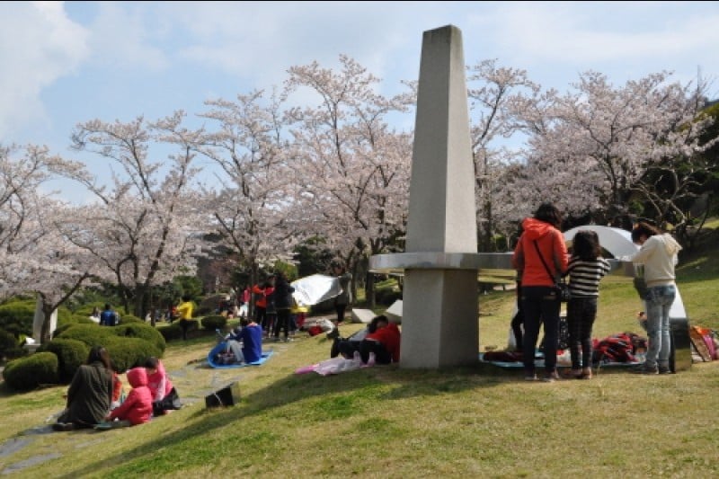 Mokpo Yudalsan Mountain Flower Festival  (9/9)