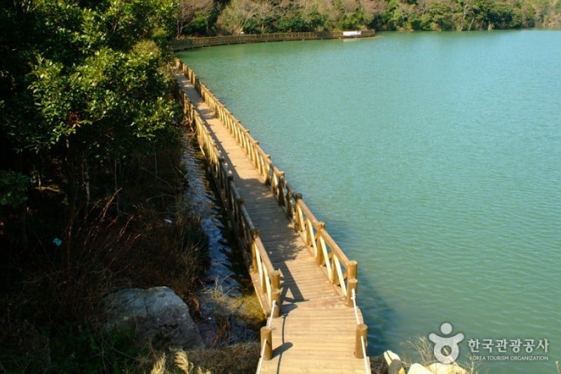 Wando Arboretum  (1/13)