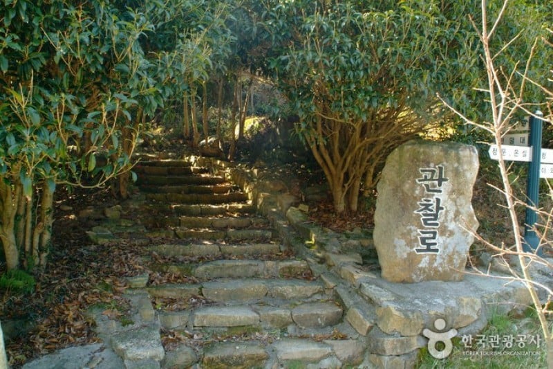 Wando Arboretum  (2/13)