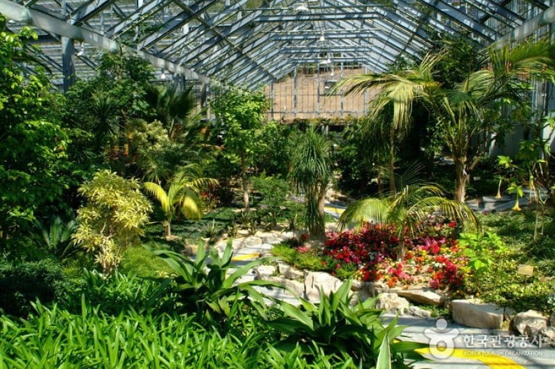Wando Arboretum  (9/13)