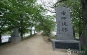 Gwanbangjerim Forest 
