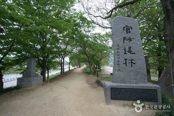 Gwanbangjerim Forest