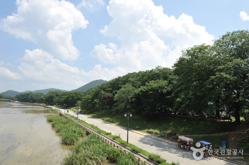 Gwanbangjerim Forest 