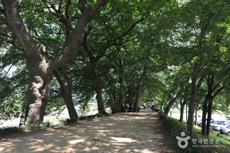 Gwanbangjerim Forest 