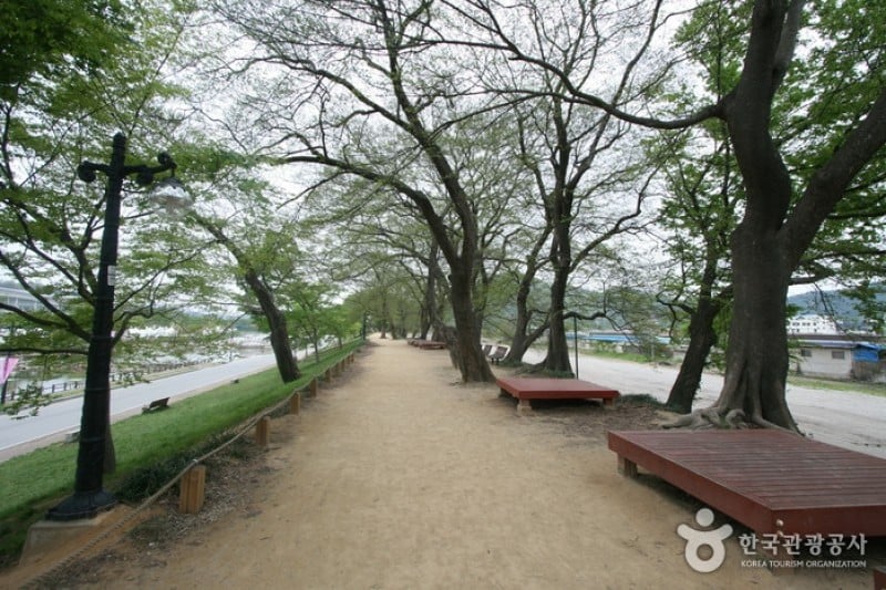 Gwanbangjerim Forest 