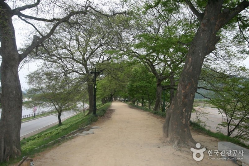 Gwanbangjerim Forest 
