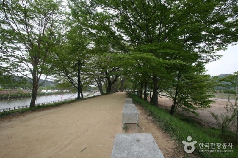 Gwanbangjerim Forest 