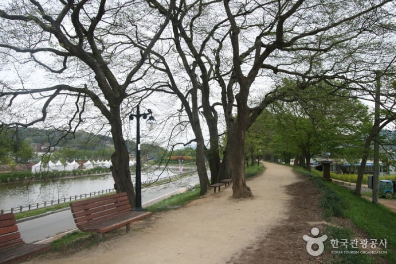 Gwanbangjerim Forest 