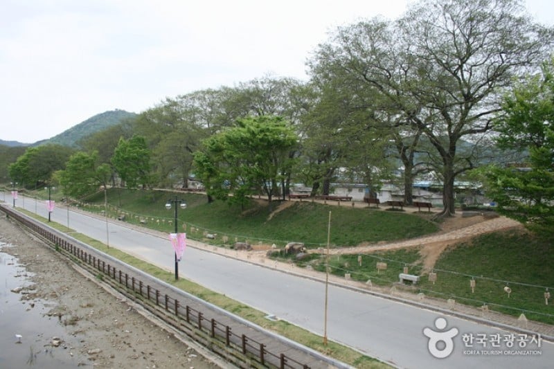 Gwanbangjerim Forest 
