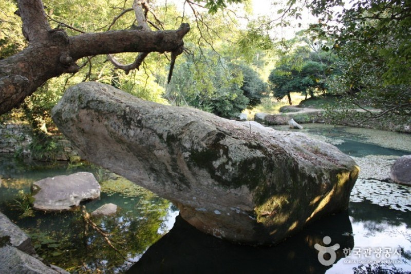 Bogildo Island Seyeonjeong Pavilion  (7/13)