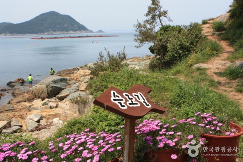 Cheongsando Slow Walk Festival  (5/13)