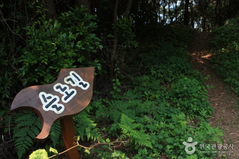 Cheongsando Slow Walk Festival  (9/13)