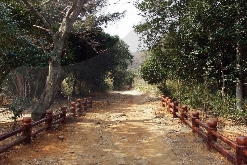 Baengnyeonsa Temple (Gangjin) (백련사-강진) (2/20)