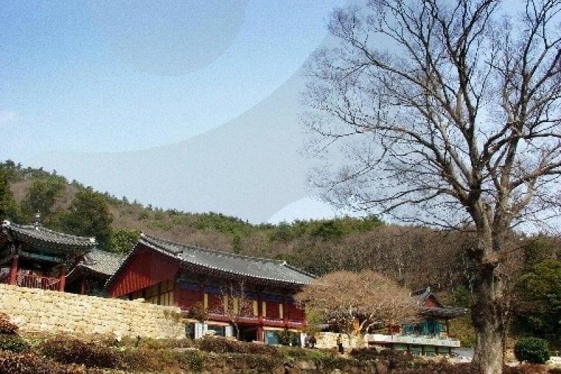 Baengnyeonsa Temple (Gangjin) (백련사-강진) (5/20)