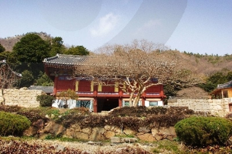 Baengnyeonsa Temple (Gangjin) (백련사-강진) (6/20)