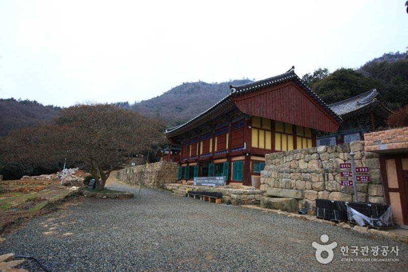 Baengnyeonsa Temple (Gangjin) (백련사-강진) (12/20)