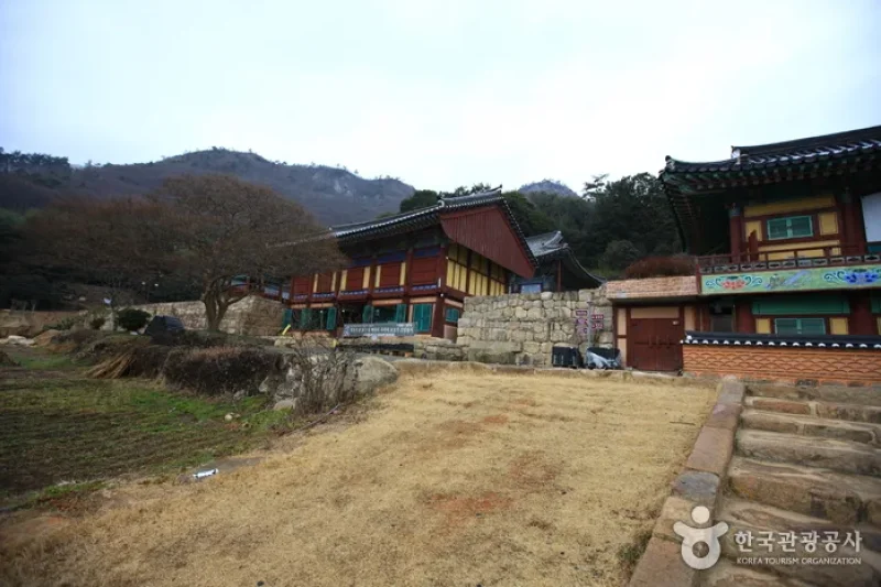 Baengnyeonsa Temple (Gangjin) (백련사-강진) (16/20)