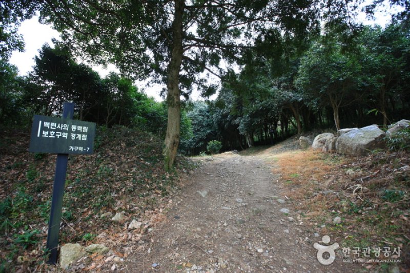 Baengnyeonsa Temple (Gangjin) (백련사-강진) (18/20)