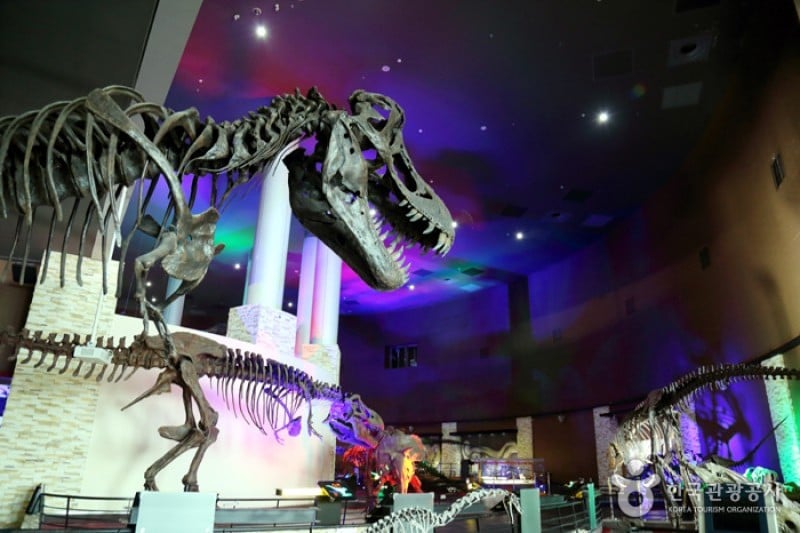 Haenam Uhangri Dinosaur Museum  (2/28)