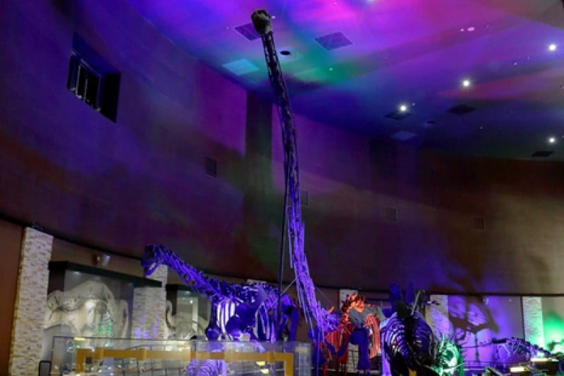 Haenam Uhangri Dinosaur Museum  (3/28)
