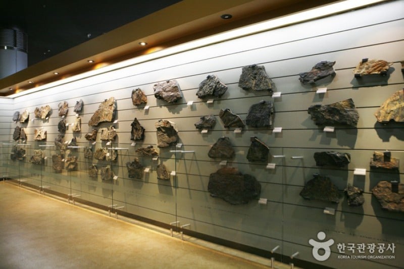 Haenam Uhangri Dinosaur Museum  (4/28)