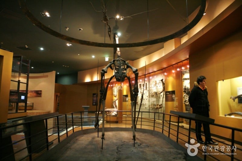 Haenam Uhangri Dinosaur Museum  (6/28)