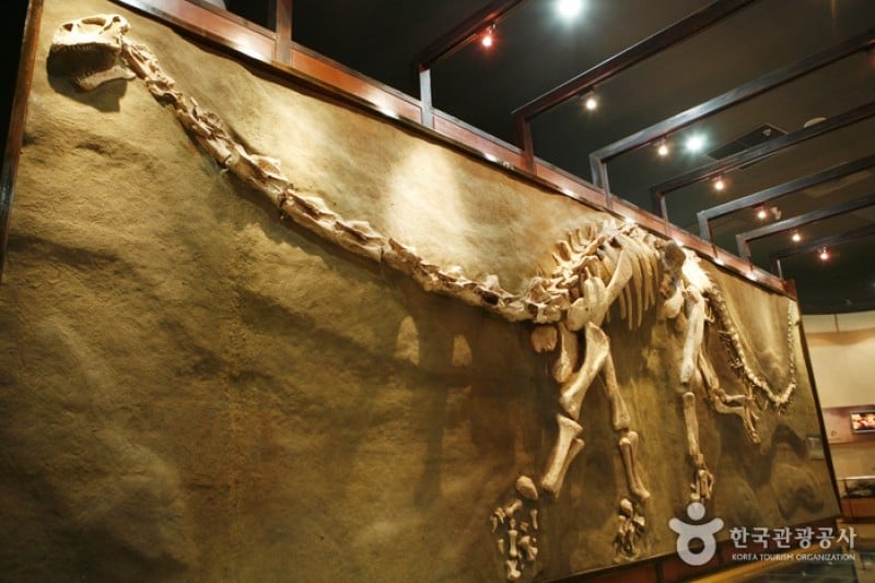 Haenam Uhangri Dinosaur Museum  (8/28)
