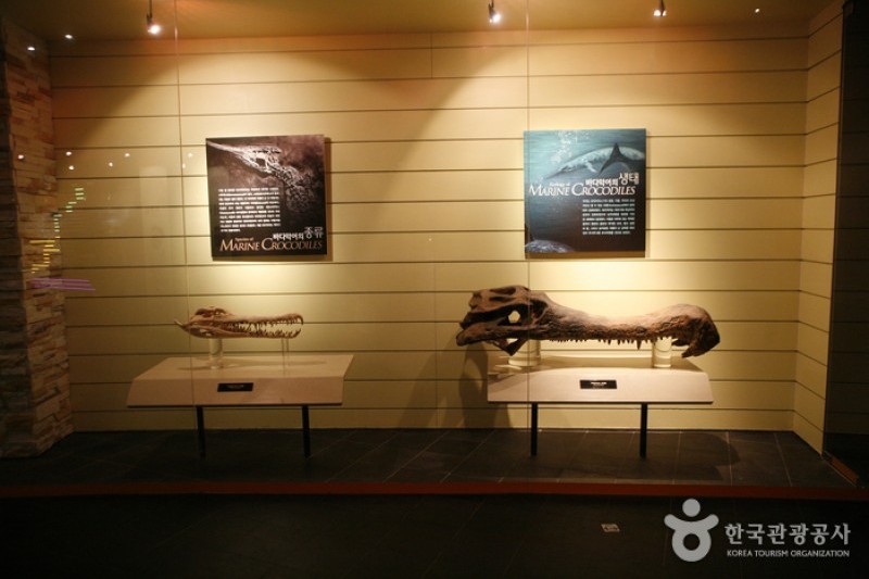 Haenam Uhangri Dinosaur Museum  (15/28)