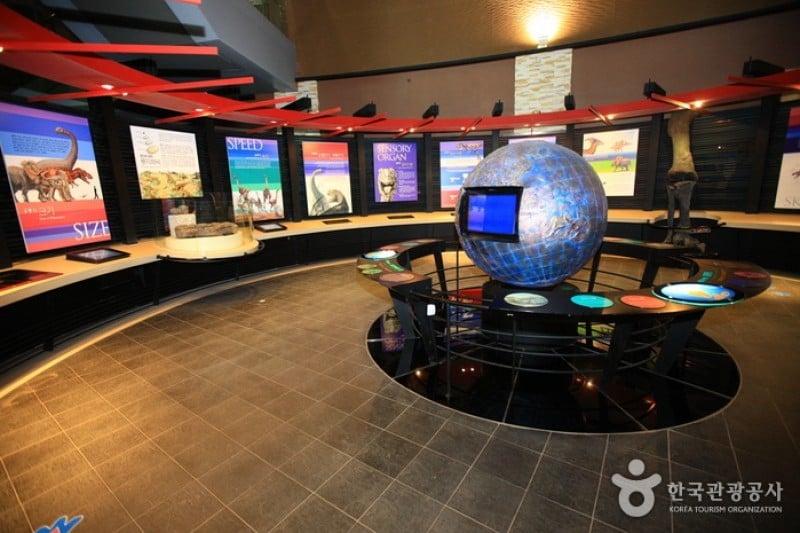 Haenam Uhangri Dinosaur Museum  (16/28)