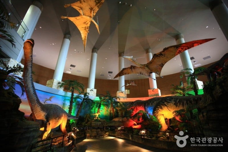Haenam Uhangri Dinosaur Museum  (17/28)