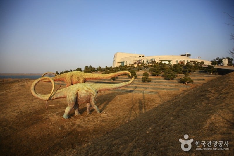 Haenam Uhangri Dinosaur Museum  (19/28)