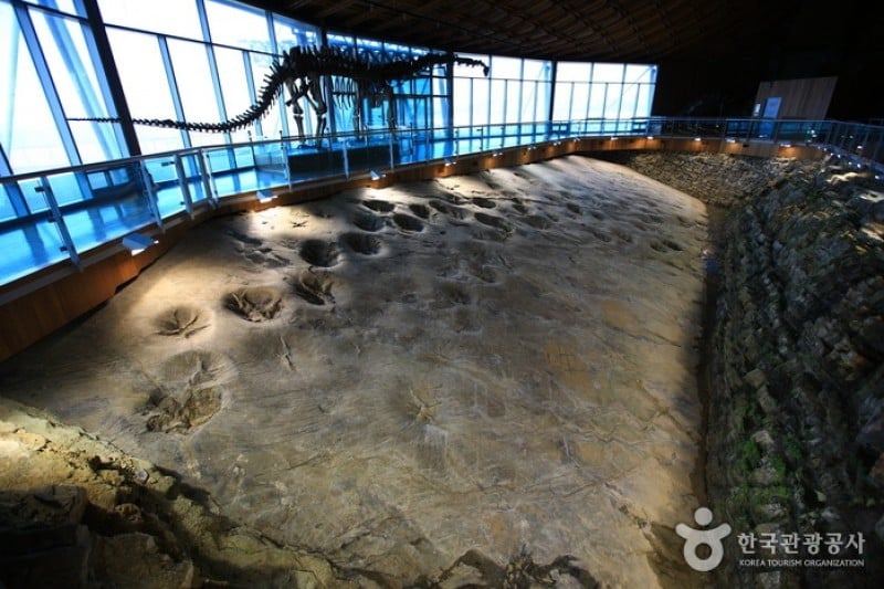 Haenam Uhangri Dinosaur Museum  (20/28)