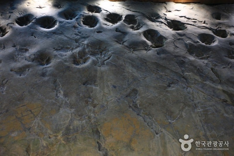 Haenam Uhangri Dinosaur Museum  (21/28)