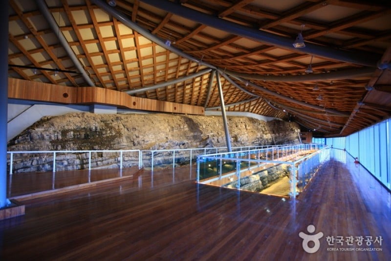 Haenam Uhangri Dinosaur Museum  (22/28)
