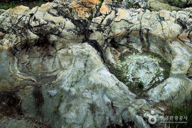 Uhangri Dinosaur Fossil Natural Historic Monument  (1/16)