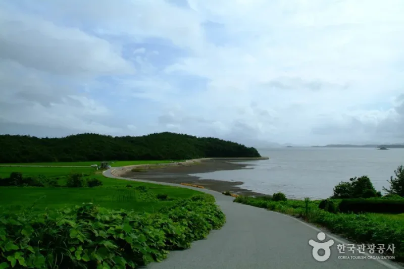Gangjinman Bay  (4/8)