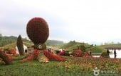 Suncheonman Bay National Garden 