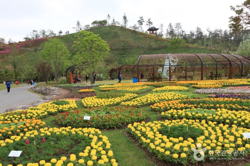 Suncheonman Bay National Garden  (2/46)