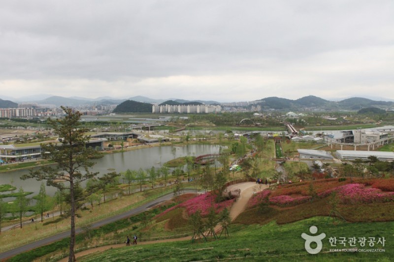 Suncheonman Bay National Garden  (5/46)