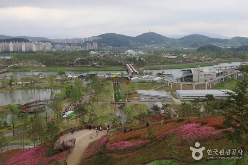 Suncheonman Bay National Garden  (6/46)