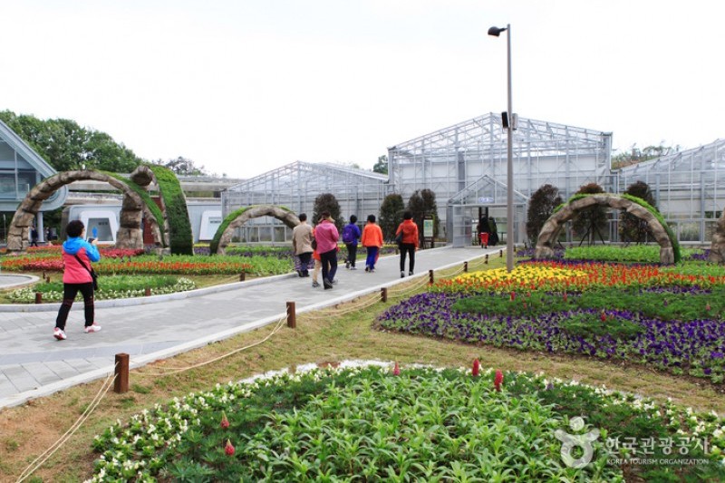 Suncheonman Bay National Garden  (10/46)