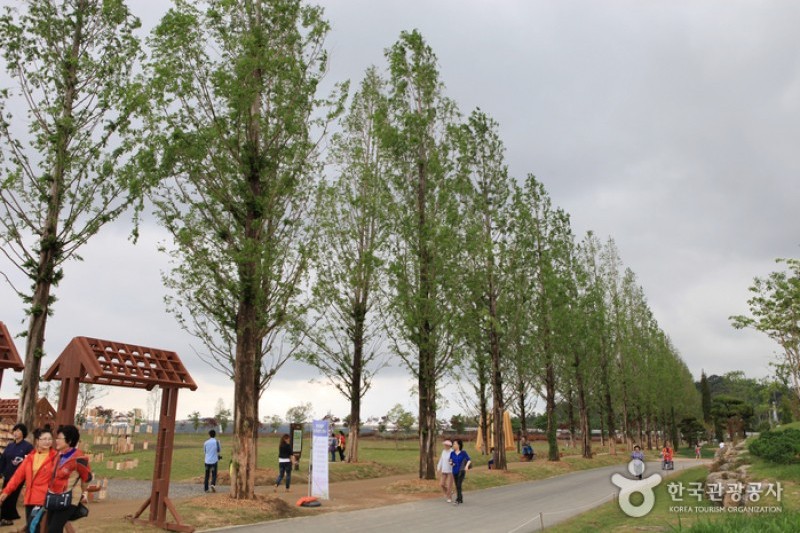 Suncheonman Bay National Garden  (26/46)