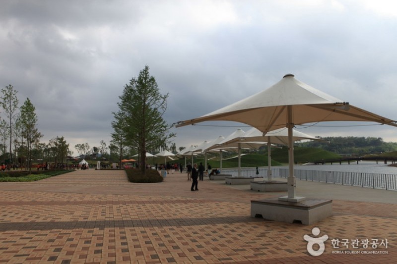 Suncheonman Bay National Garden  (35/46)