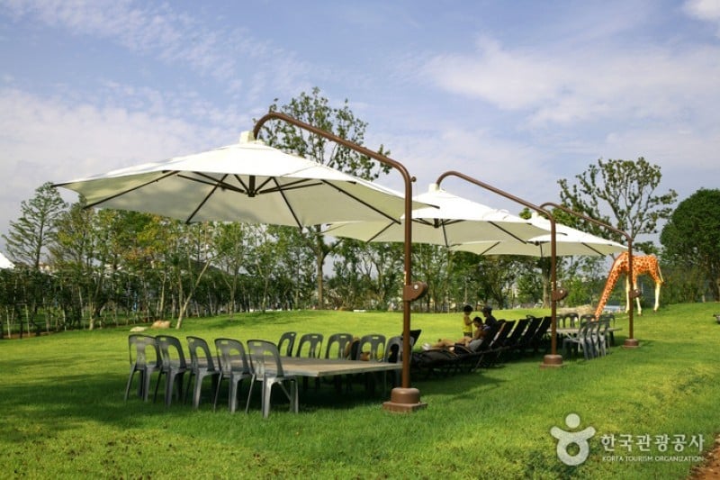 Suncheonman Bay National Garden  (40/46)