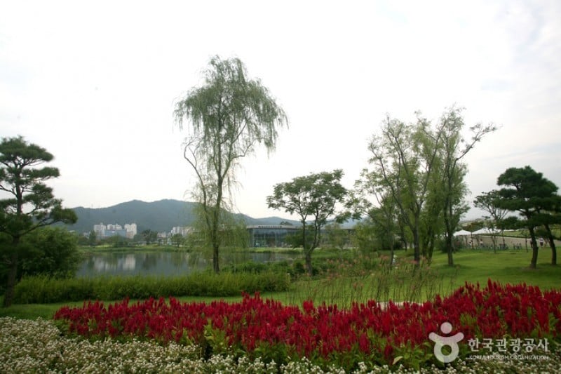 Suncheonman Bay National Garden  (41/46)